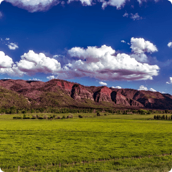 image of a farmland