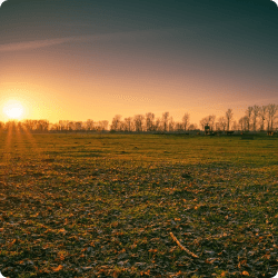 image of a field